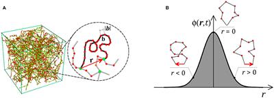 Smart Polymers for Advanced Applications: A Mechanical Perspective Review